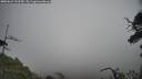 ./images/calvert/fitz-hugh-hecate/20250623/fitz-hugh-hecate20250623_133510M.jpg