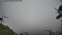 ./images/calvert/fitz-hugh-hecate/20250623/fitz-hugh-hecate20250623_135510M.jpg
