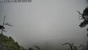 ./images/calvert/fitz-hugh-hecate/20250623/fitz-hugh-hecate20250623_140010M.jpg