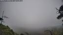 ./images/calvert/fitz-hugh-hecate/20250623/fitz-hugh-hecate20250623_141009M.jpg