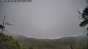 ./images/calvert/fitz-hugh-hecate/20250623/fitz-hugh-hecate20250623_141509M.jpg