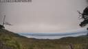 ./images/calvert/fitz-hugh-hecate/20250623/fitz-hugh-hecate20250623_144010M.jpg