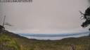 ./images/calvert/fitz-hugh-hecate/20250623/fitz-hugh-hecate20250623_145007M.jpg