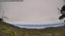 ./images/calvert/fitz-hugh-hecate/20250623/fitz-hugh-hecate20250623_145509M.jpg