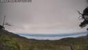 ./images/calvert/fitz-hugh-hecate/20250623/fitz-hugh-hecate20250623_150510M.jpg