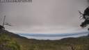 ./images/calvert/fitz-hugh-hecate/20250623/fitz-hugh-hecate20250623_151009M.jpg
