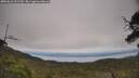 ./images/calvert/fitz-hugh-hecate/20250623/fitz-hugh-hecate20250623_151510M.jpg