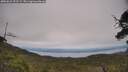 ./images/calvert/fitz-hugh-hecate/20250623/fitz-hugh-hecate20250623_152508M.jpg