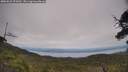 ./images/calvert/fitz-hugh-hecate/20250623/fitz-hugh-hecate20250623_153012M.jpg