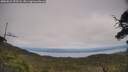 ./images/calvert/fitz-hugh-hecate/20250623/fitz-hugh-hecate20250623_153507M.jpg