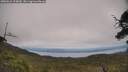 ./images/calvert/fitz-hugh-hecate/20250623/fitz-hugh-hecate20250623_154009M.jpg