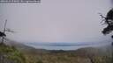 ./images/calvert/fitz-hugh-hecate/20250623/fitz-hugh-hecate20250623_155010M.jpg