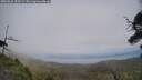 ./images/calvert/fitz-hugh-hecate/20250623/fitz-hugh-hecate20250623_155508M.jpg