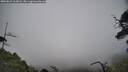 ./images/calvert/fitz-hugh-hecate/20250623/fitz-hugh-hecate20250623_161008M.jpg