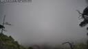 ./images/calvert/fitz-hugh-hecate/20250623/fitz-hugh-hecate20250623_162509M.jpg