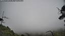 ./images/calvert/fitz-hugh-hecate/20250623/fitz-hugh-hecate20250623_163507M.jpg