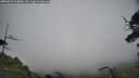 ./images/calvert/fitz-hugh-hecate/20250623/fitz-hugh-hecate20250623_164009M.jpg