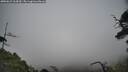 ./images/calvert/fitz-hugh-hecate/20250623/fitz-hugh-hecate20250623_164509M.jpg