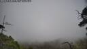 ./images/calvert/fitz-hugh-hecate/20250623/fitz-hugh-hecate20250623_165009M.jpg