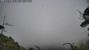 ./images/calvert/fitz-hugh-hecate/20250623/fitz-hugh-hecate20250623_170009M.jpg