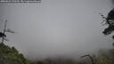 ./images/calvert/fitz-hugh-hecate/20250623/fitz-hugh-hecate20250623_170509M.jpg