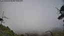 ./images/calvert/fitz-hugh-hecate/20250623/fitz-hugh-hecate20250623_171509M.jpg
