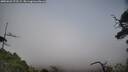 ./images/calvert/fitz-hugh-hecate/20250623/fitz-hugh-hecate20250623_172508M.jpg