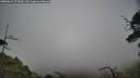 ./images/calvert/fitz-hugh-hecate/20250623/fitz-hugh-hecate20250623_173010M.jpg