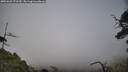 ./images/calvert/fitz-hugh-hecate/20250623/fitz-hugh-hecate20250623_173509M.jpg