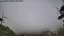 ./images/calvert/fitz-hugh-hecate/20250623/fitz-hugh-hecate20250623_174510M.jpg