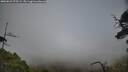 ./images/calvert/fitz-hugh-hecate/20250623/fitz-hugh-hecate20250623_175509M.jpg