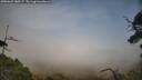 ./images/calvert/fitz-hugh-hecate/20250623/fitz-hugh-hecate20250623_180507M.jpg