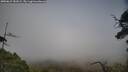 ./images/calvert/fitz-hugh-hecate/20250623/fitz-hugh-hecate20250623_181009M.jpg