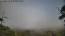 ./images/calvert/fitz-hugh-hecate/20250623/fitz-hugh-hecate20250623_181510M.jpg
