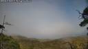 ./images/calvert/fitz-hugh-hecate/20250623/fitz-hugh-hecate20250623_182509M.jpg