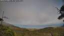 ./images/calvert/fitz-hugh-hecate/20250623/fitz-hugh-hecate20250623_184010M.jpg