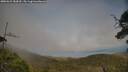 ./images/calvert/fitz-hugh-hecate/20250623/fitz-hugh-hecate20250623_184510M.jpg