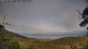 ./images/calvert/fitz-hugh-hecate/20250623/fitz-hugh-hecate20250623_185509M.jpg