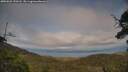 ./images/calvert/fitz-hugh-hecate/20250623/fitz-hugh-hecate20250623_190508M.jpg