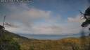 ./images/calvert/fitz-hugh-hecate/20250623/fitz-hugh-hecate20250623_192009M.jpg