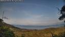 ./images/calvert/fitz-hugh-hecate/20250623/fitz-hugh-hecate20250623_193507M.jpg