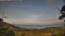 ./images/calvert/fitz-hugh-hecate/20250623/fitz-hugh-hecate20250623_194009M.jpg