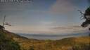 ./images/calvert/fitz-hugh-hecate/20250623/fitz-hugh-hecate20250623_194508M.jpg