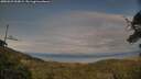 ./images/calvert/fitz-hugh-hecate/20250623/fitz-hugh-hecate20250623_200009M.jpg
