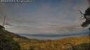 ./images/calvert/fitz-hugh-hecate/20250623/fitz-hugh-hecate20250623_201007M.jpg