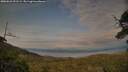 ./images/calvert/fitz-hugh-hecate/20250623/fitz-hugh-hecate20250623_201508M.jpg