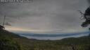 ./images/calvert/fitz-hugh-hecate/20250623/fitz-hugh-hecate20250623_210508M.jpg