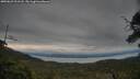 ./images/calvert/fitz-hugh-hecate/20250623/fitz-hugh-hecate20250623_211508M.jpg