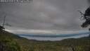 ./images/calvert/fitz-hugh-hecate/20250623/fitz-hugh-hecate20250623_212008M.jpg