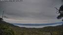 ./images/calvert/fitz-hugh-hecate/20250623/fitz-hugh-hecate20250623_215009M.jpg